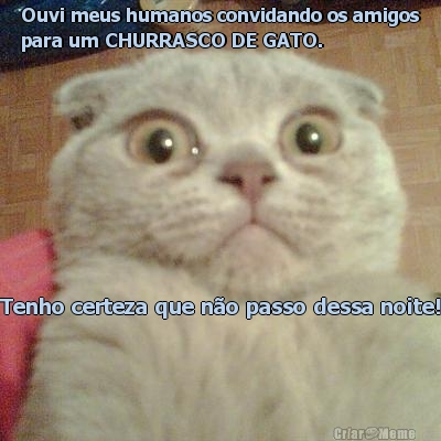 Ouvi meus humanos convidando os amigos
para um CHURRASCO DE GATO. Tenho certeza que n�o passo dessa noite!