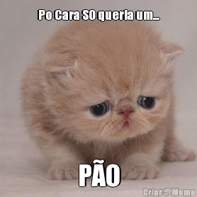 Po Cara SO queria um...
 P�O