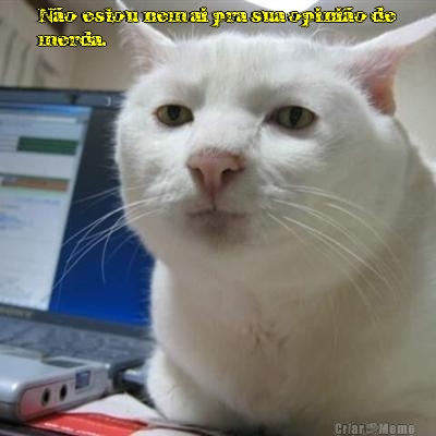 N�o estou nem ai pra sua opini�o de
merda.  
