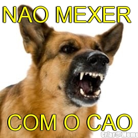 NAO MEXER  COM O CAO