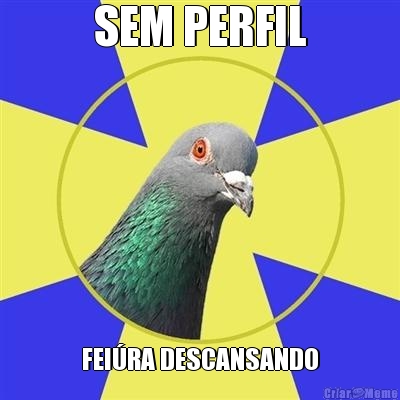 SEM PERFIL FEI�RA DESCANSANDO
