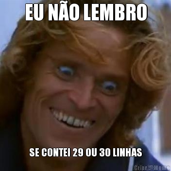 EU N�O LEMBRO SE CONTEI 29 OU 30 LINHAS