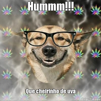 Hummm!!! Que cheirinho de uva