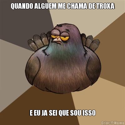 QUANDO ALGUEM ME CHAMA DE TROXA E EU JA SEI QUE SOU ISSO