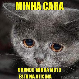 MINHA CARA QUANDO MINHA MOTO
 EST� NA OFICINA