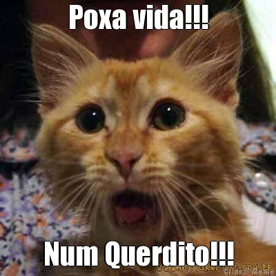 Poxa vida!!! Num Querdito!!!