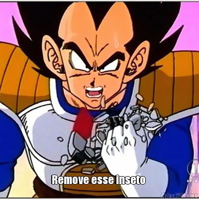  Remove esse inseto 