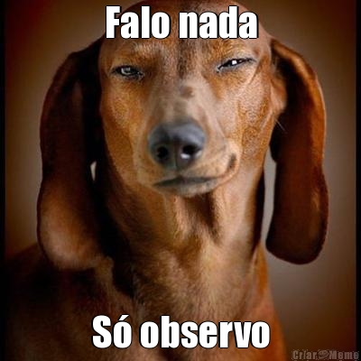 Falo nada S� observo