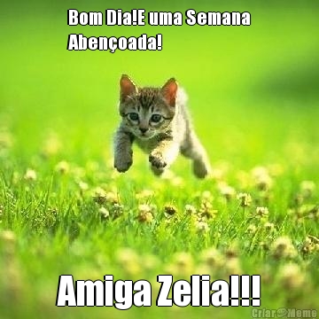 Bom Dia!E uma Semana
Aben�oada! Amiga Zelia!!!