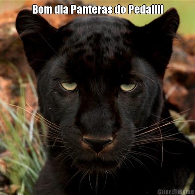 Bom dia Panteras do Pedal!!! 