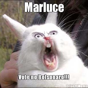 Marluce Vote no Bolsonaro!!!