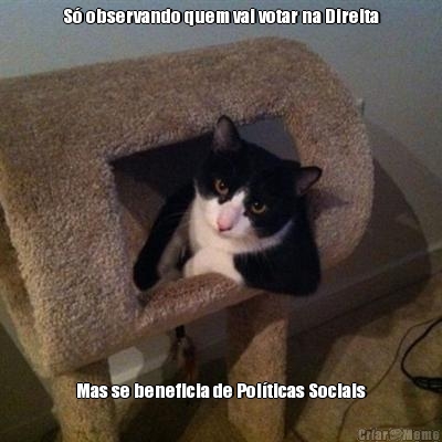 S� observando quem vai votar na Direita Mas se beneficia de Pol�ticas Sociais