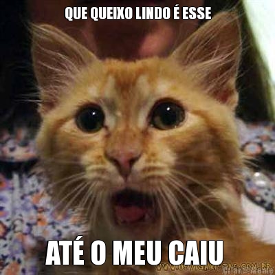 QUE QUEIXO LINDO � ESSE AT� O MEU CAIU 
