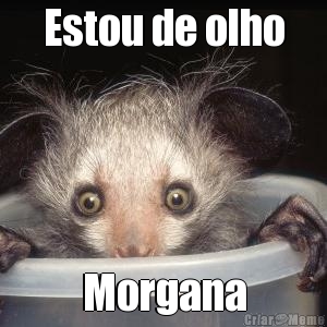 Estou de olho Morgana