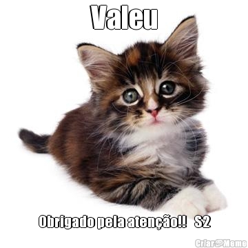 Valeu Obrigado pela aten��o!!   S2