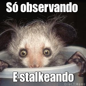 S� observando  E stalkeando