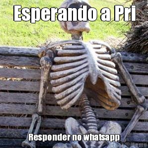 Esperando a Pri Responder no whatsapp