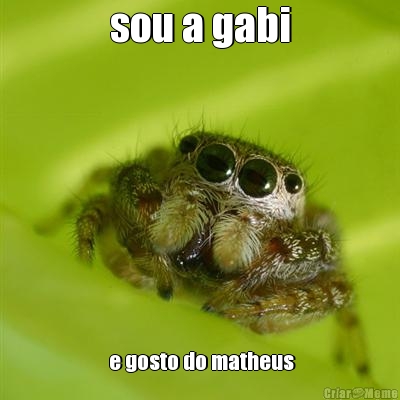 sou a gabi  e gosto do matheus