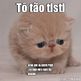 T� t�o tisti SER� QUE ALGU�M PODE
LIBERAR MEU CART�O,
DIACHO