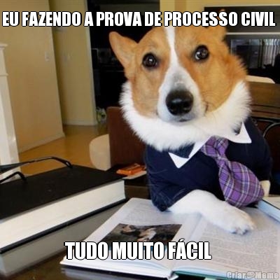 EU FAZENDO A PROVA DE PROCESSO CIVIL  TUDO MUITO F�CIL 