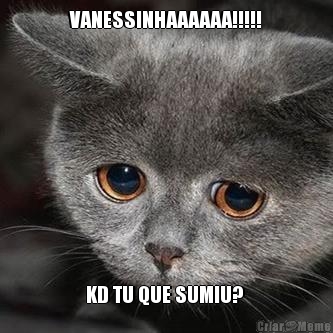 VANESSINHAAAAAA!!!!! KD TU QUE SUMIU? 