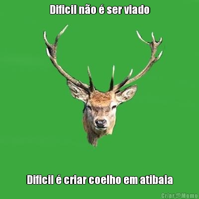 Dificil n�o � ser viado Dificil � criar coelho em atibaia
