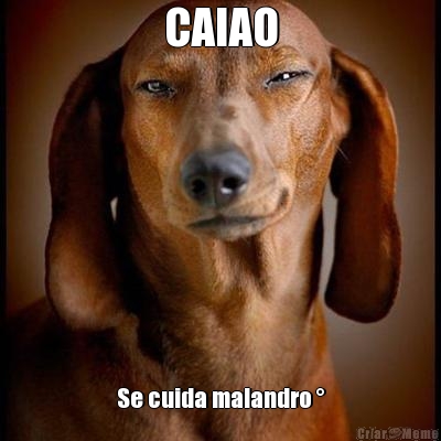 CAIAO Se cuida malandro �
