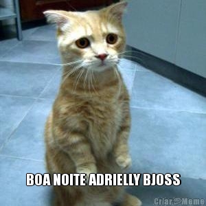  BOA NOITE ADRIELLY BJOSS
