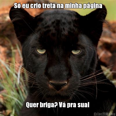 S� eu crio treta na minha p�gina Quer briga? V� pra sua! 