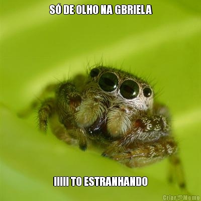 S� DE OLHO NA GBRIELA IIIII TO ESTRANHANDO
