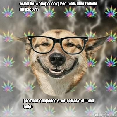 estou bem chapad�o quero mais uma rodada
de baciado pra ficar chapad�o e ver coisas a ou meu
redor