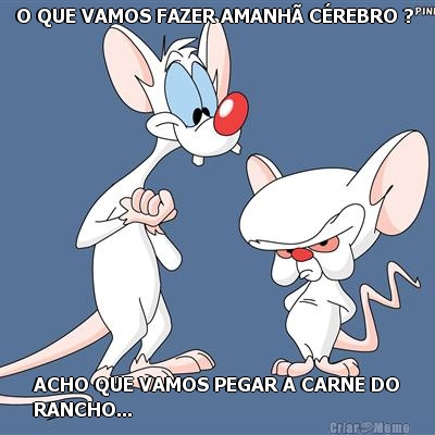 O QUE VAMOS FAZER AMANH� C�REBRO ?  ACHO QUE VAMOS PEGAR A CARNE DO
RANCHO... 