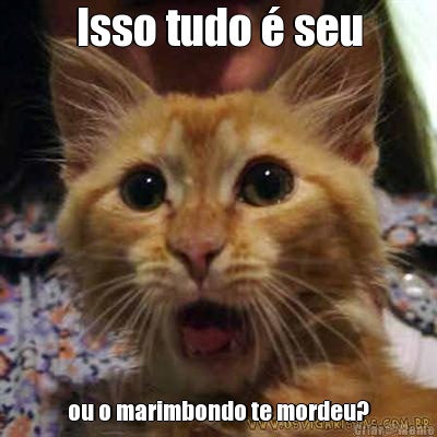 Isso tudo � seu ou o marimbondo te mordeu?
