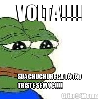 VOLTA!!!! SUA CHUCHURECA T� T�O
TRISTE SEM VC!!!!