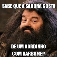 SABE QUE A SANDRA GOSTA DE UM GORDINHO
 COM BARBA N�?