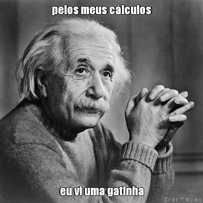 pelos meus c�lculos eu vi uma gatinha