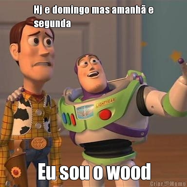 Hj e domingo mas amanh� e
segunda  Eu sou o wood
