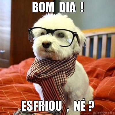 BOM  DIA  ! ESFRIOU  ,  N� ?