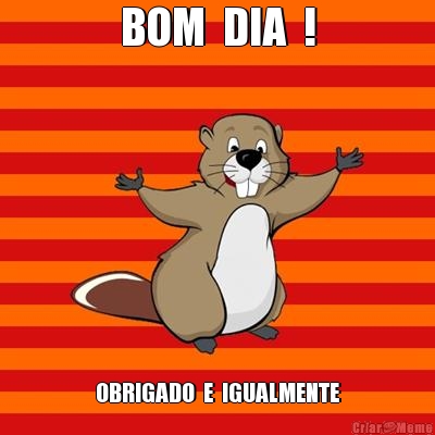 BOM  DIA  ! OBRIGADO  E  IGUALMENTE