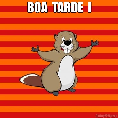 BOA  TARDE  ! 