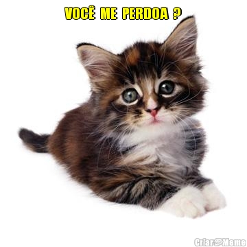VOC�  ME  PERDOA  ? 