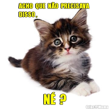 ACHO  QUE  N�O  PRECISAVA 
DISSO , N�  ?