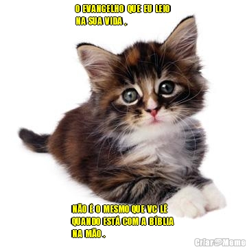 O  EVANGELHO   QUE  EU  LEIO 
NA  SUA  VIDA  , N�O  �  O  MESMO  QUE  VC  L� 
QUANDO  EST�  COM  A  B�BLIA 
NA  M�O  .