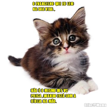 O  EVANGELHO   QUE  EU  LEIO 
NA  SUA  VIDA  , N�O  �  O  MESMO  QUE  VC 
PREGA  , QUANDO  EST�  COM  A 
B�BLIA  NA  M�O .