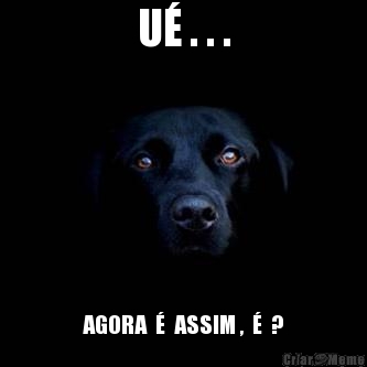 U� . . . AGORA  �  ASSIM ,  �  ?