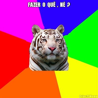 FAZER  O  QU�  ,  N�  ? 