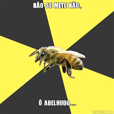 N�O  SE  METE  N�O , �  ABELHUDO . . .