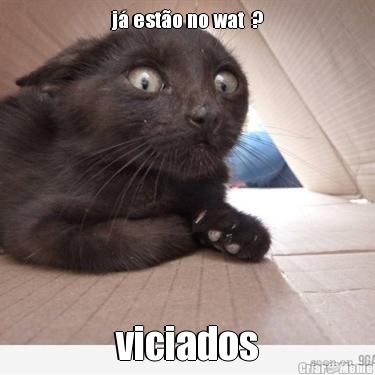 j� est�o no wat  ? viciados