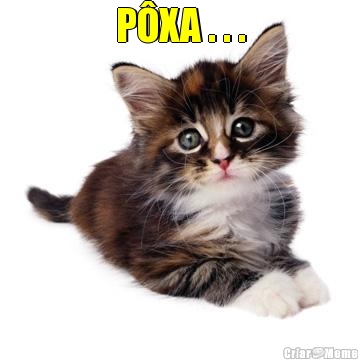 P�XA . . . 