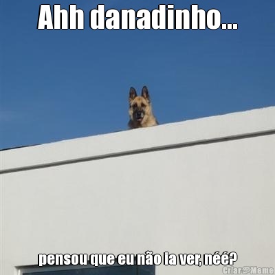 Ahh danadinho... pensou que eu n�o ia ver, n��?